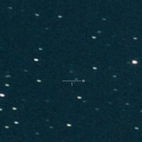 44P(Reinmuth)