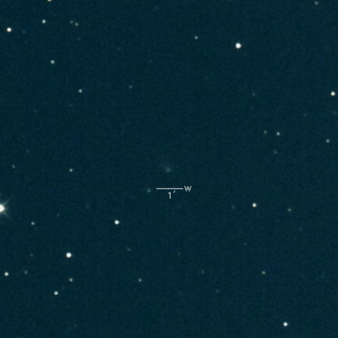 61P(Shajn-Schaldach)