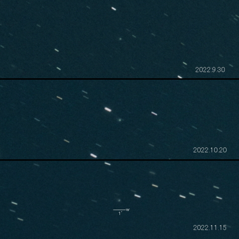 C/2021 T4 (Lemmon) の変化