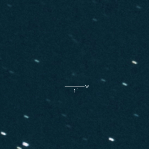 44P(Reinmuth)