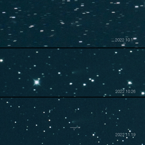 119P（Parker-Hartley）の変化 