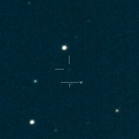 378P(McNaught)