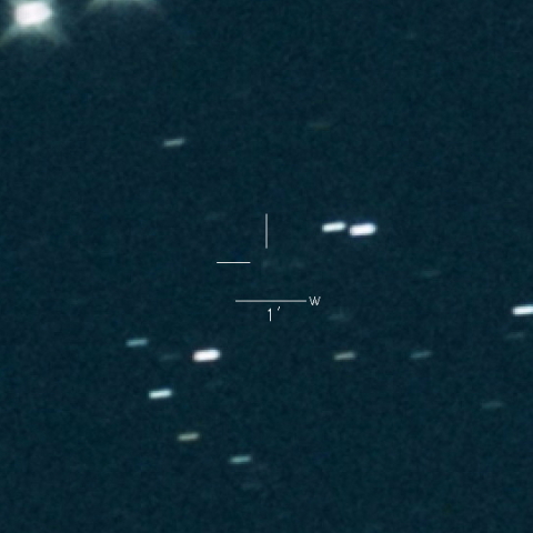 204P(LINEAR-NEAT)