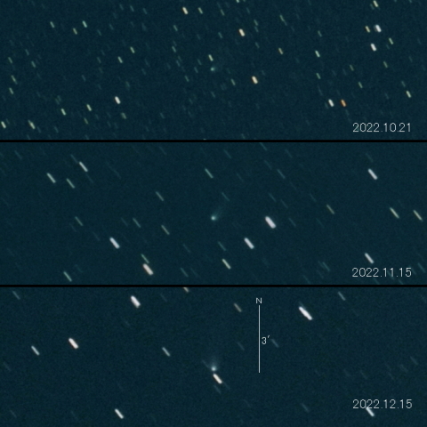 C/2021 Y1 (ATLAS) の変化