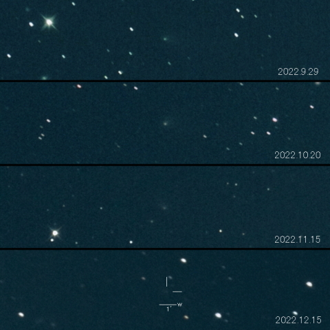61P(Shajn-Schaldach)の変化