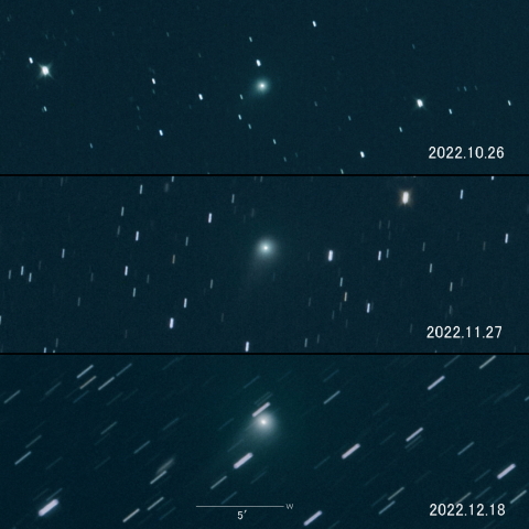 C/2020 V2（ＺＴＦ）の変化