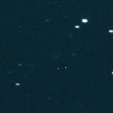 204P(LINEAR-NEAT)