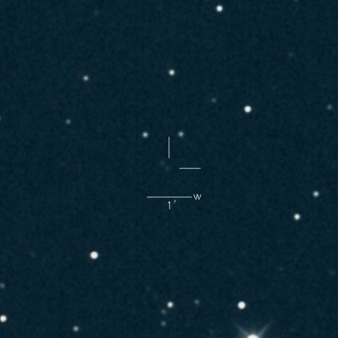 C/2021 S4 (Tsuchinshan)