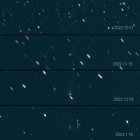 C/2021 Y1 (ATLAS) の変化