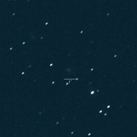 204P(LINEAR-NEAT)