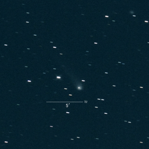 C/2019 U5 (PANSTARRS)
