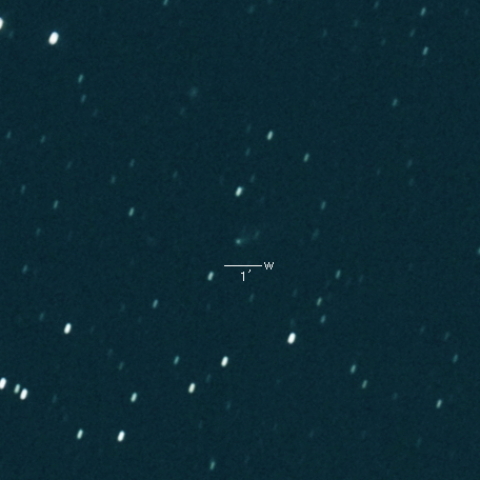 77P(Longmore)