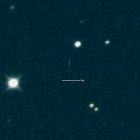 452P(Sheppard-Jewitt)