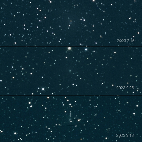 29P（Schwassmann-Wachmann）の変化