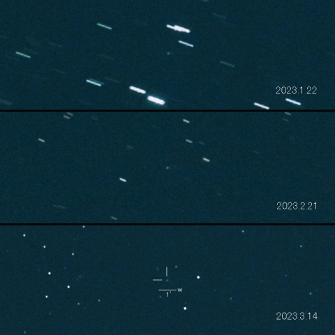 263P(Gibbs) の変化
