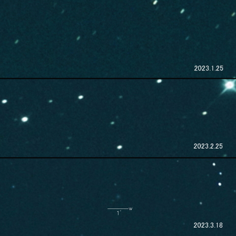 180P(NEAT) の変化