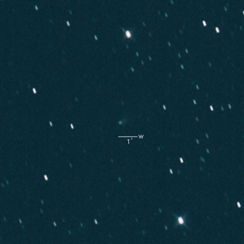 77P(Longmore)