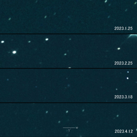 180P（NEAT）の変化