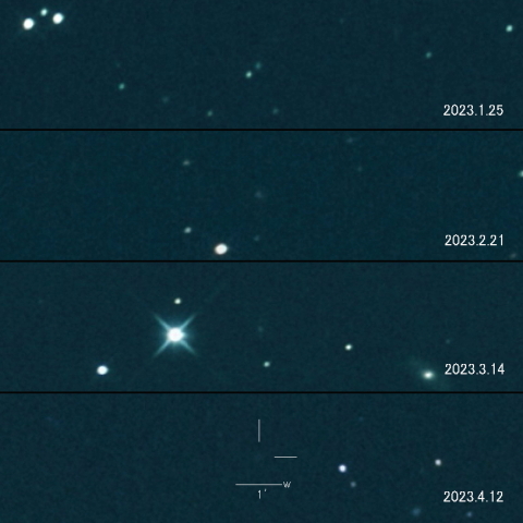 P/2023 B1 (PANSTARRS)  の変化