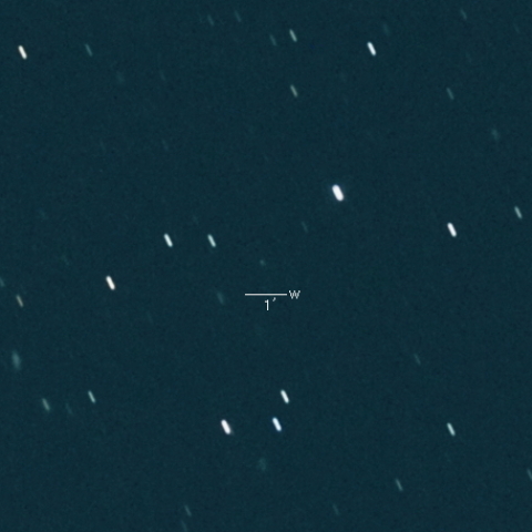 263P(Gibbs)