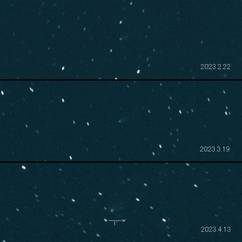 77P(Longmore)の変化