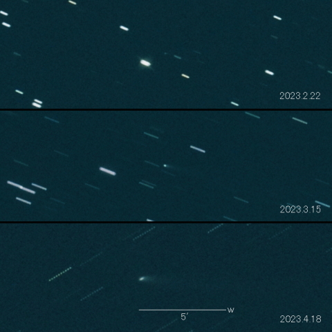 364P（PANSTARRS ）の変化