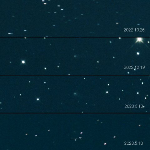 C/2020 S4 (PANSTARRS) の変化