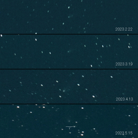 77P(Longmore)の変化
