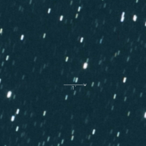 12P（Pons-Brooks）