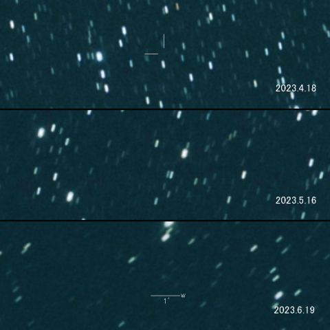 12P（Pons-Brooks）の変化