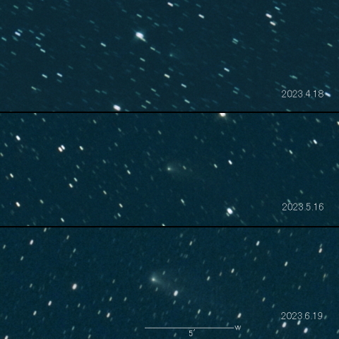 237P（LINEAR）の変化