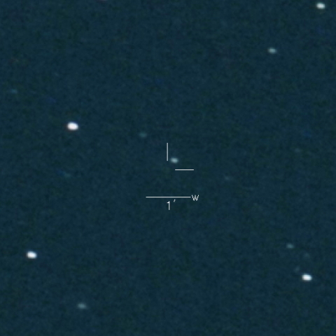 71P(Clark)