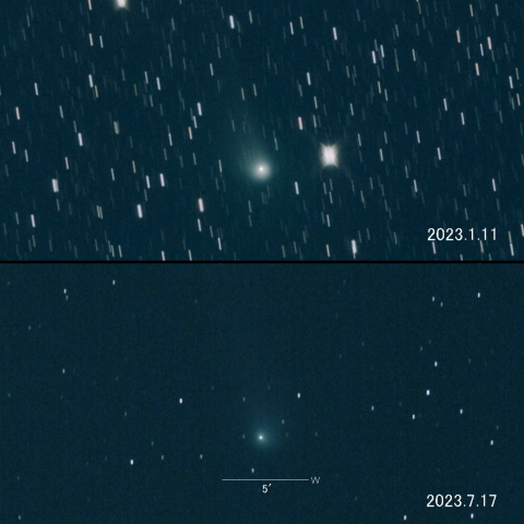 C/2020 V2 (ZTF) の変化