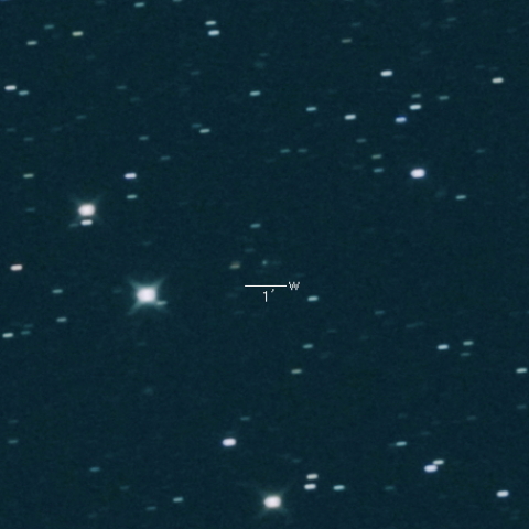 12P（Pons-Brooks）