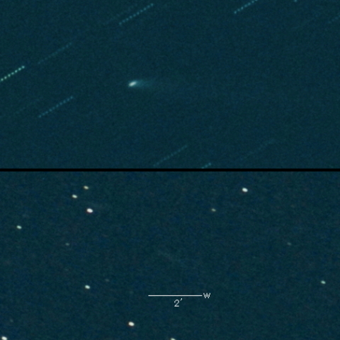 364P（PANSTARRS ）の変化