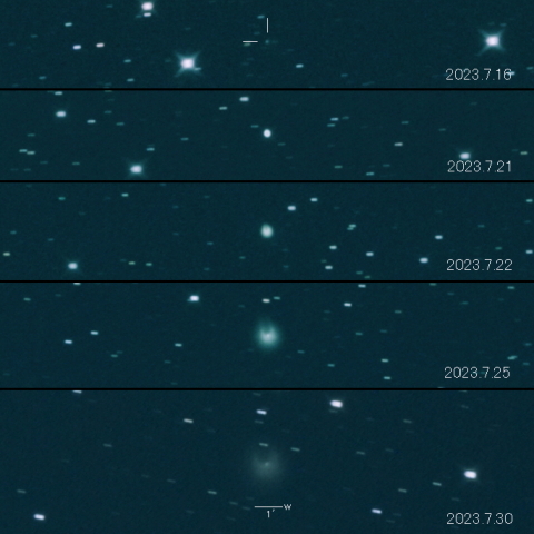 12P（Pons-Brooks）の変化