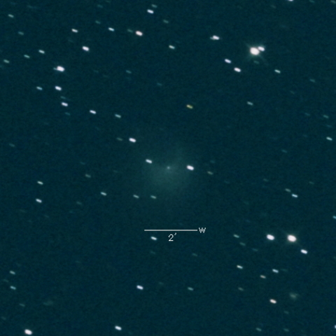 12P（Pons-Brooks）