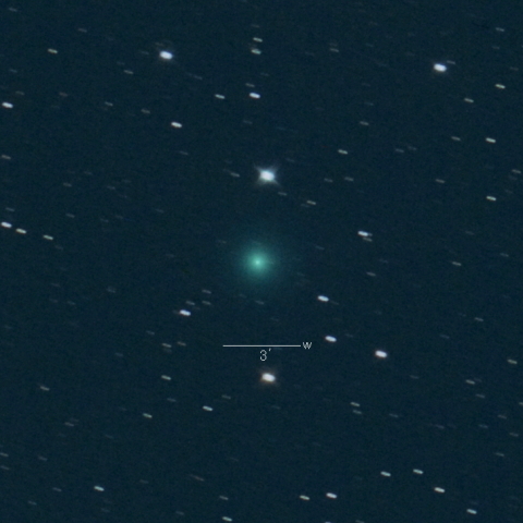 C/2023 P1 (Nishimura)