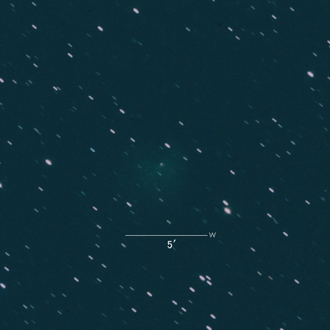 12P（Pons-Brooks）