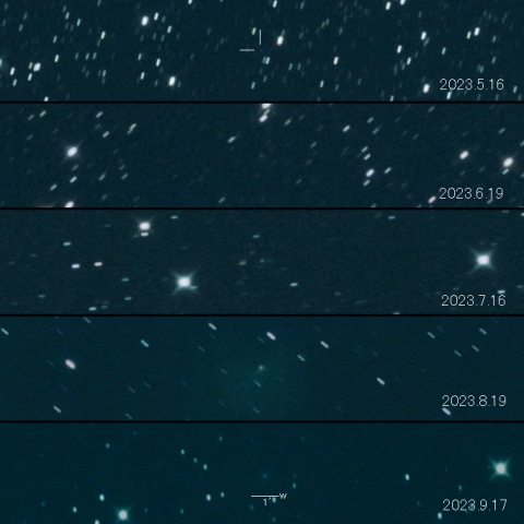 12P（Pons-Brooks） の変化