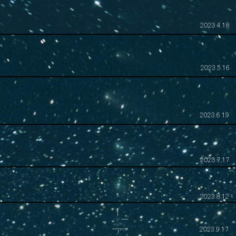 237P（LINEAR）の変化