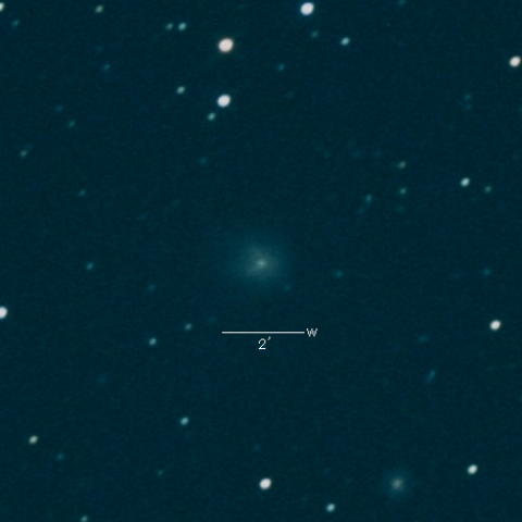 12P（Pons-Brooks）