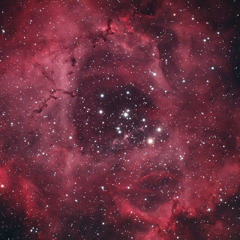 バラ星雲 NGC2244