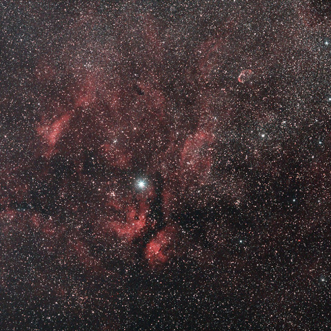 Around Cygnus gamma