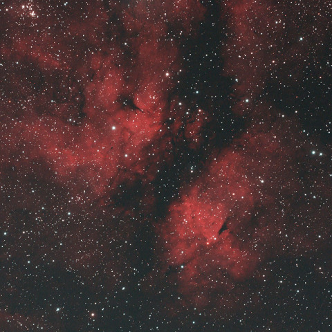 IC1318