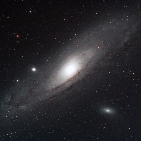 M31