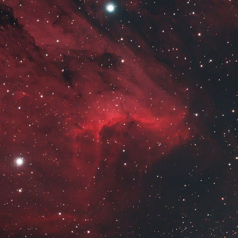 IC5067 ペリカン星雲