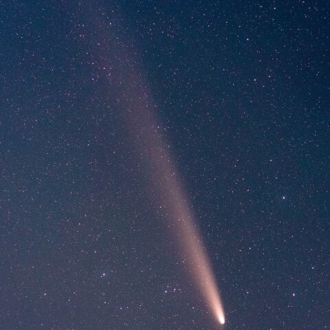 紫金山・アトラス彗星（C/2023 A3）