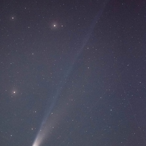 レモン彗星（C/2025 A6）