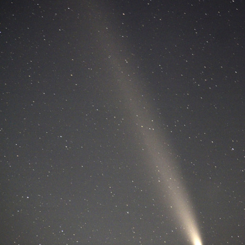 紫金山－アトラス彗星 10月20日